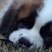 Kristi Libsack's photo