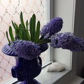 Alla Fayda's photo