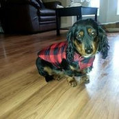 Claudette MacLean's photo