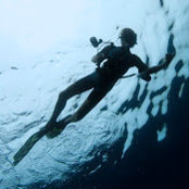 Bo Pardau's photo