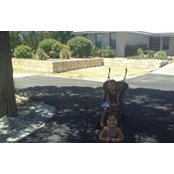 Amanda Palmer's photo