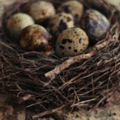 Billie Henninger's photo