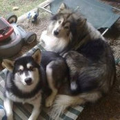 Aunty Kylie Morris's photo