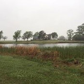 Patty Turnage's photo