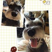 Geraldine C's photo