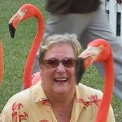 Myra Quarless billede