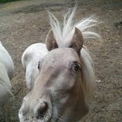 Foto von Beth Blodgett