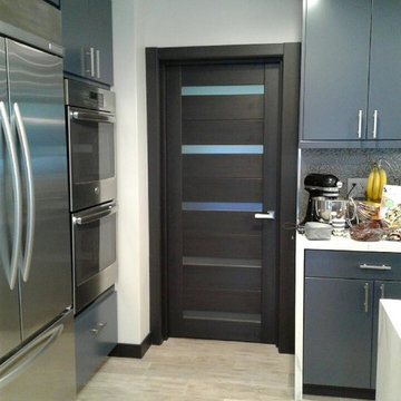 Veneer Wenge Doors with Frosted Glass