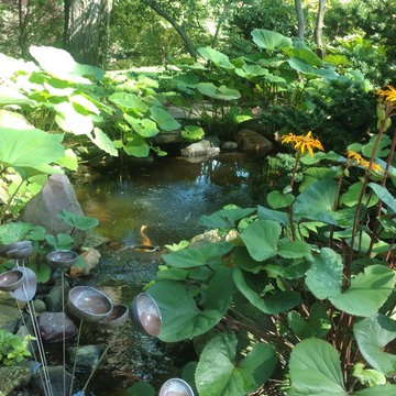 Sensational Shade Gardens