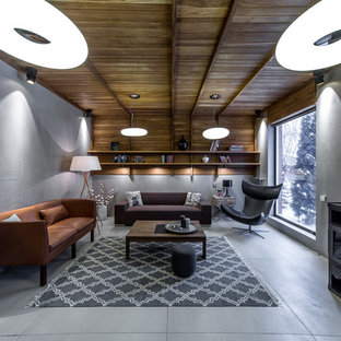 Foto de salón contemporáneo con paredes grises, estufa de leña, marco de chimenea de metal y suelo gris