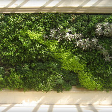 Doughty: Front Hall - Living Walls, Wine Display & Staircases