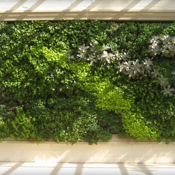 Living Wall / Green Art