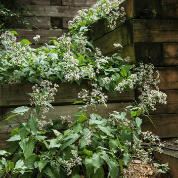 Hillside Urban Garden