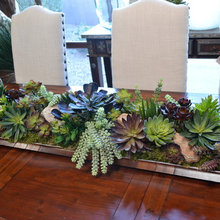 Succulent garden idea