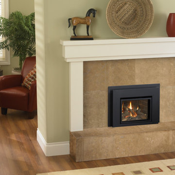 Gas Fireplace Inserts