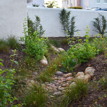 California Native Storybook Garden