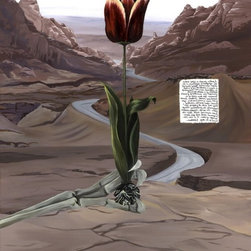 Nomadic Project - Fine Art Prints