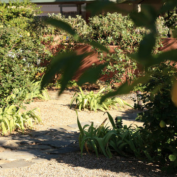 No Lawn Front Yard