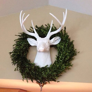 Faux Taxidermy