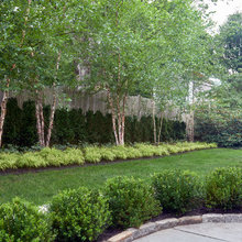 Front Yard 2024