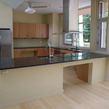 Universal Access Kitchen