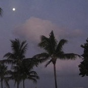 Shannon Supe's photo