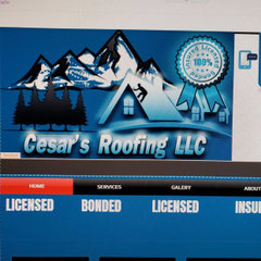 Cesar Roofing