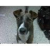 Scott Knibbs's photo