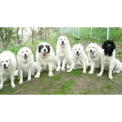 Lynn Pilarski's photo