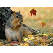 Linda Hooks's photo