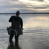 Robert Buono's photo