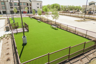 This is an example of a landscaping in Dallas.