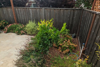 This is an example of a contemporary landscaping in Other.