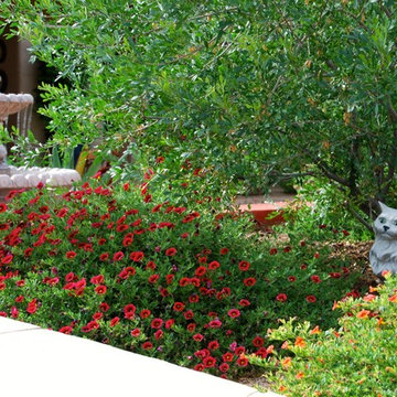 Our outdoor creations