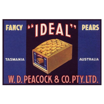 "Ideal Fancy Pears" Digital Paper Print by Unknown, 46"x31"