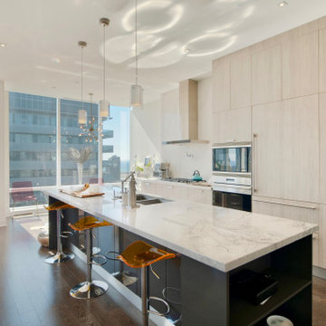 295 Adelaide St West Penthouse