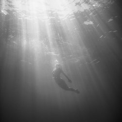 Drawn To The Light B&W by Joel Coleman - Photographs