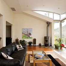 wood burning stove
