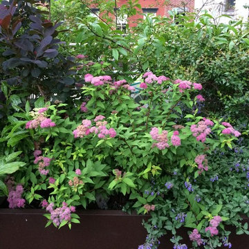 Plantings