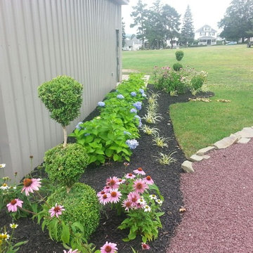 OUR WORK