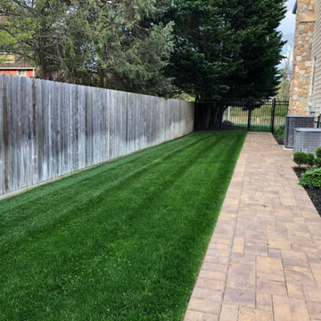 Global Tree Services and Landscaping Inc
