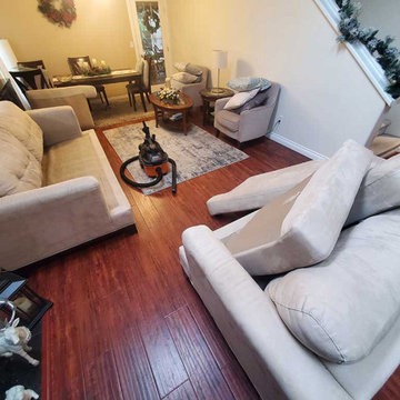 Sofa Love Seat Upholstery Steam Cleaning and Carpet Cleaning of Stairs Located i