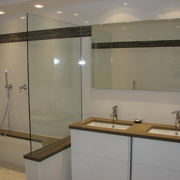 Contemporary Master Bath