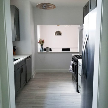 Hyde Park Kitchen Remodel