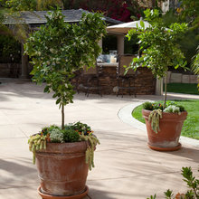 New Build Landscaping