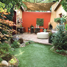Back Yard Shade Garden