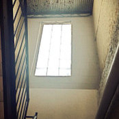 L L's photo