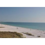 Michelle Dray's photo