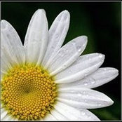 Catherine Plautz's photo