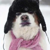 Marcy Simpson's photo